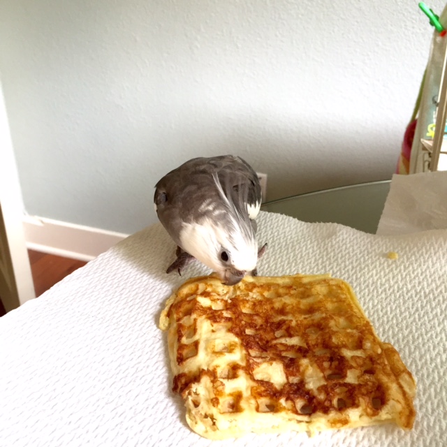 Wow! Where did this come from?