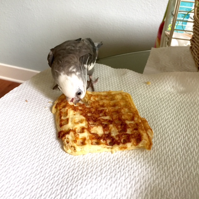 Mmmmmm. Nom nom nom nom nom....