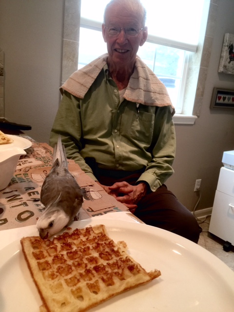 Okay, I see that my Tall lookout is in position. Because he is very tall, he can see potential predators approaching from all angles.