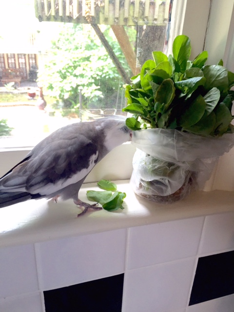 Oh, but wait a minute....what is this section of pure crinkly goodness?