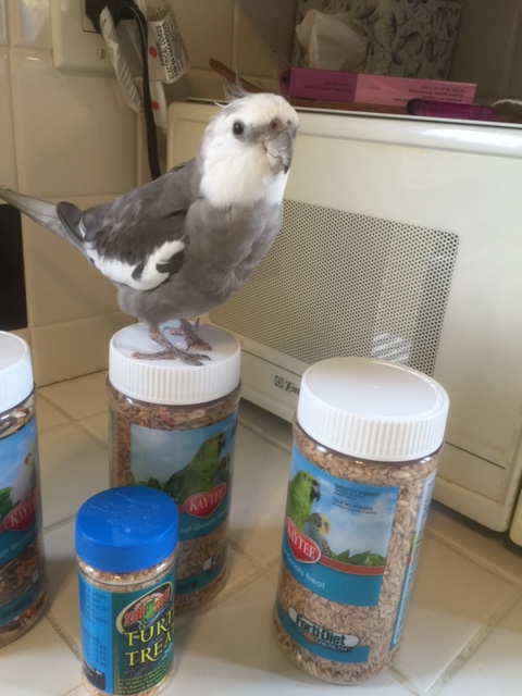 Is that clear enough for you, Mom?