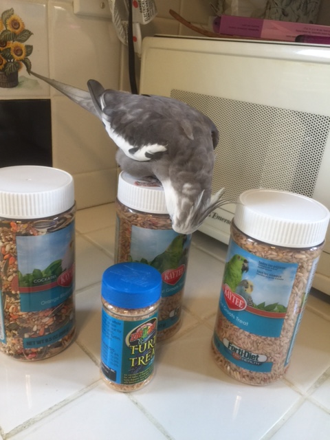 Yes. Here it is. Here is the problem. 