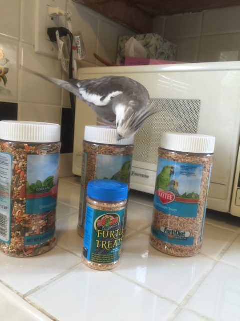 I'll just point right to it....