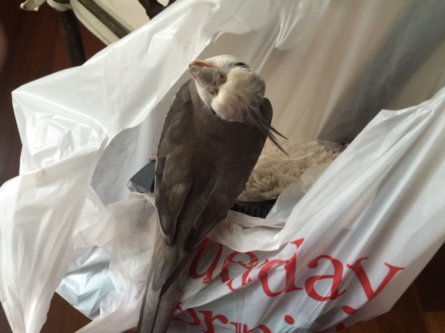 And up here as well....