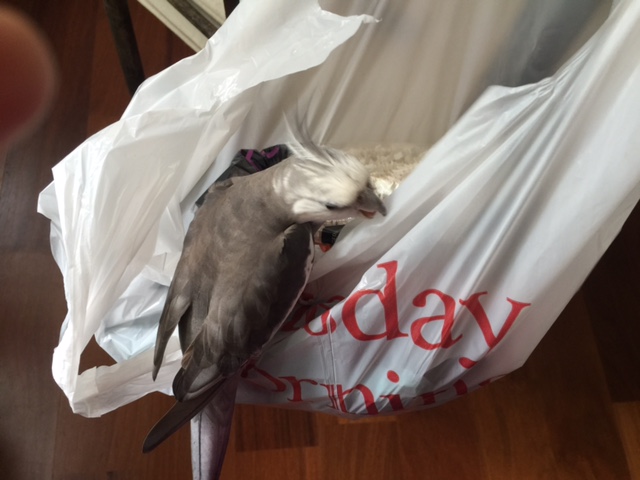 First I will just do a full perimeter scan.