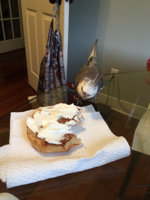 So tell me more about this white stuff on top of you. 