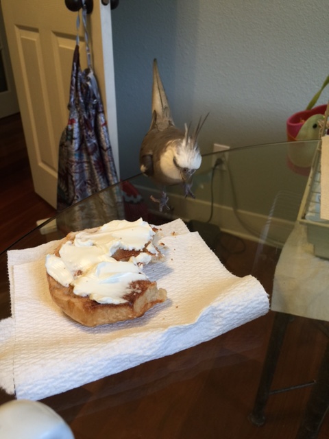 What's that? You'd like to be centered in every photo? Well, we'll see what we can (not) do....