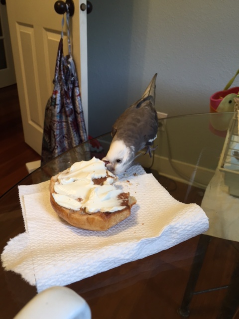 Nom nom nom CRUNCH nom....yup, simple is your ticket, Mr. Bagel.