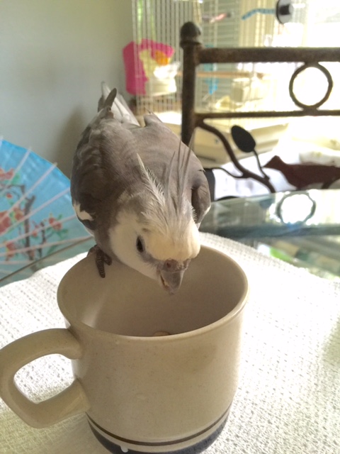 You want to start with the right setup that balances challenge level against accessibility.