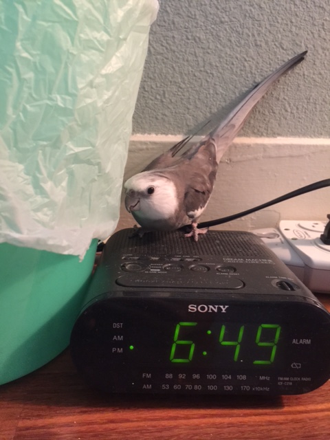 Well....hello there. May I help you?