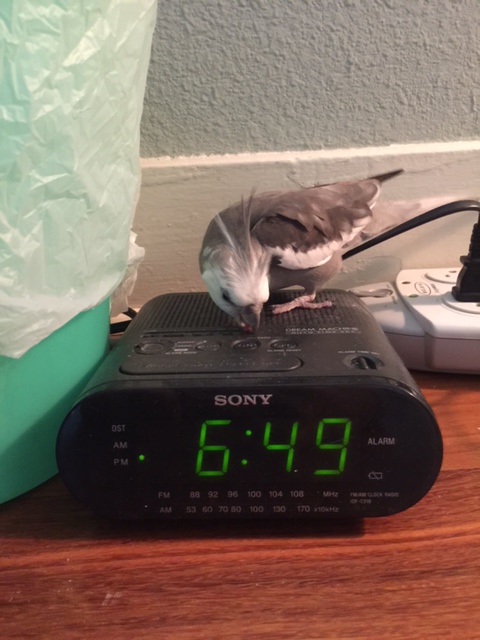 Play that song I like - you know, the one that talks about how pretty I am!