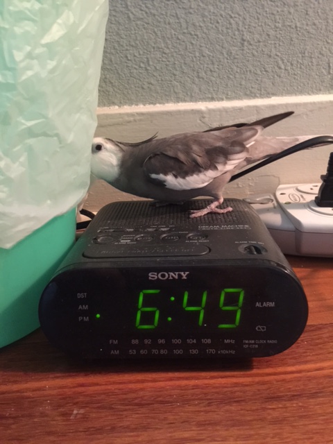 Well we do happen to have a spot open for the role of "Trash Collector" - which I personally think you'd be perfect for. Just go down the hall, take a left, then another left, then out the double doors marked "E.X.I.T." Got it? Okay, good!