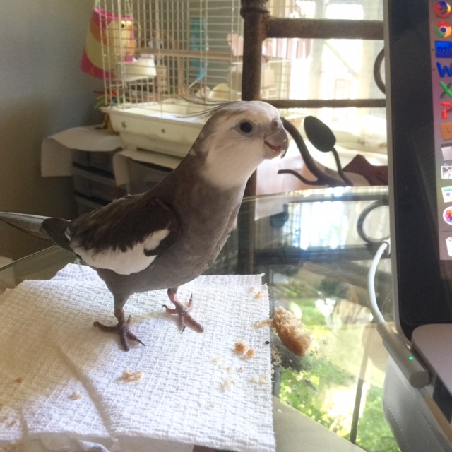 Luckily, my favorite fitness routine also involves a flavorful piece of crust.