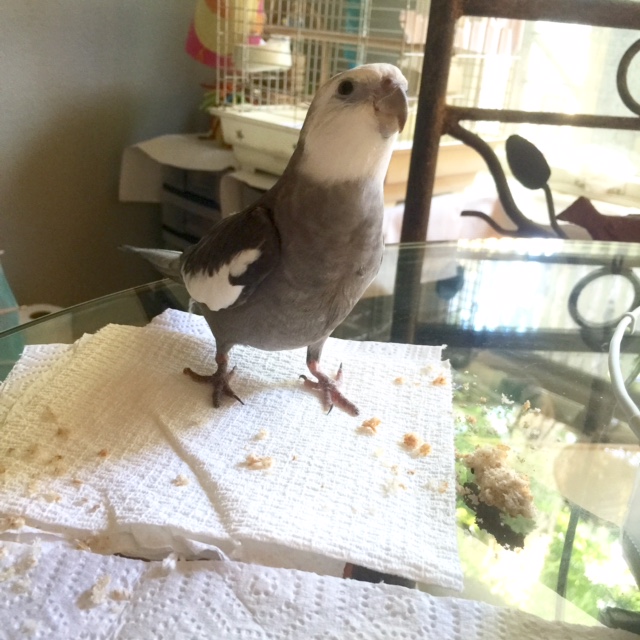 I'm feeling....peckish. But I would also like to do some fitness. 