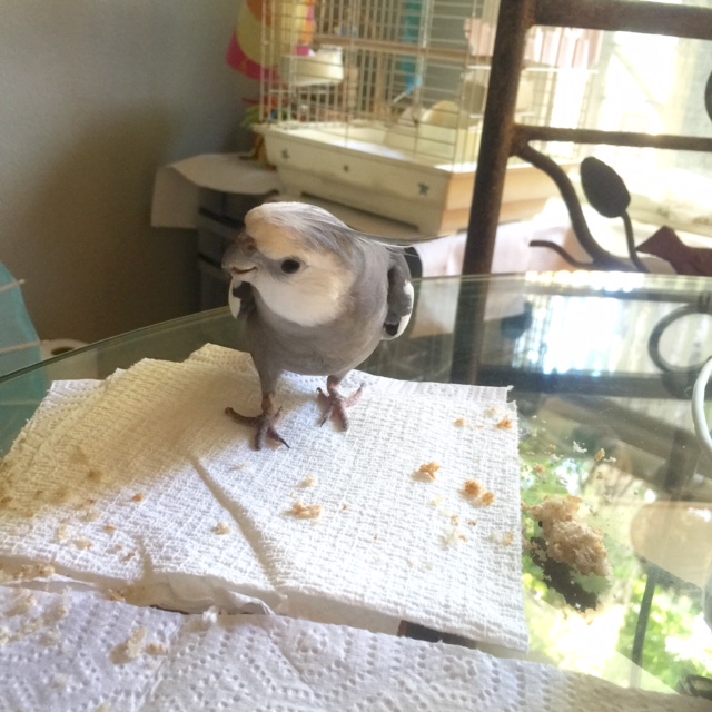 Now you want to do some side stretches - to one side and then....