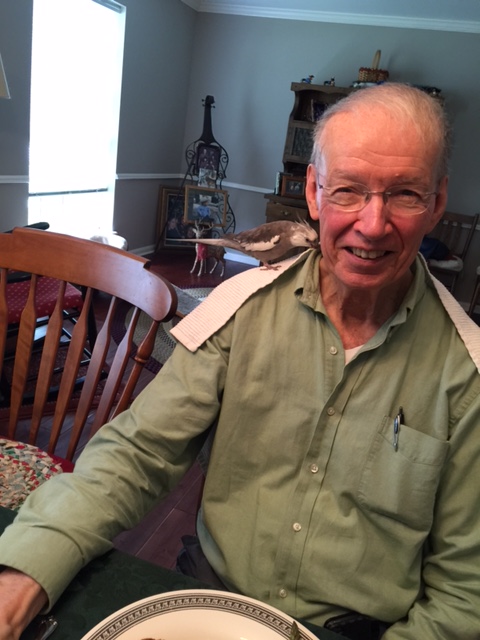 The beak cleaning stations are numerous and efficient on a Tall Tree.