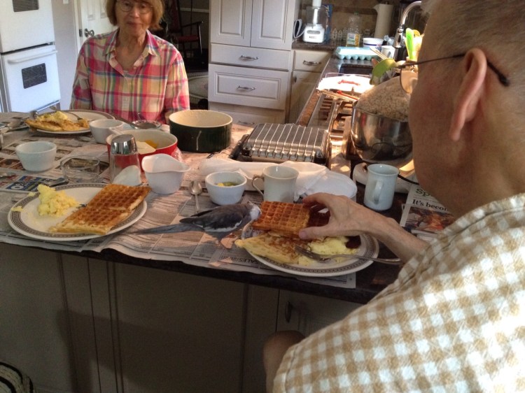 You never have to worry about getting your share when you perch on a Tall Tree.