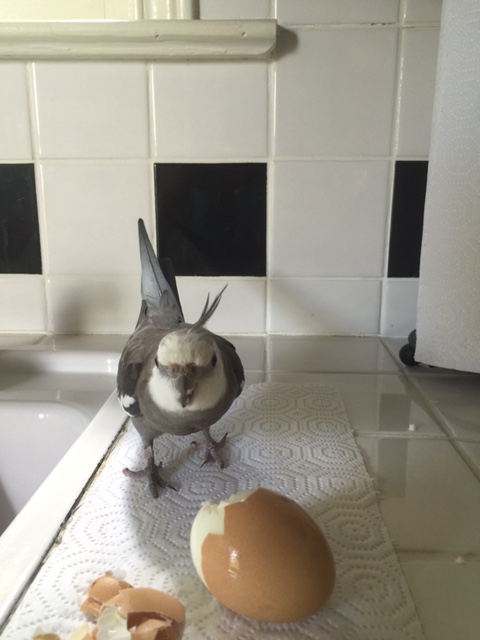 Oh, hello! Are you today's