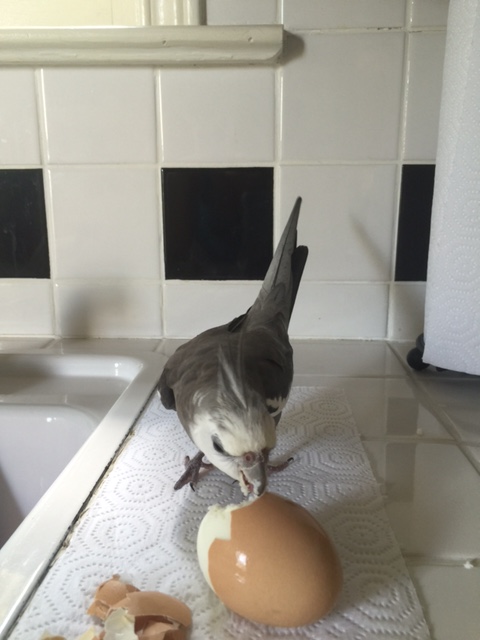 Plus the more action we have, the more the fans will like it!