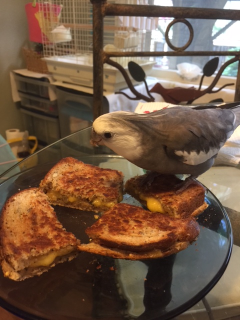 Oh boy oh boy oh boy - what a choice delicacy! I'm so glad I was the first one to see it so I could claim it!