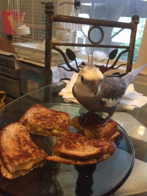 What do you mean by "your share?"