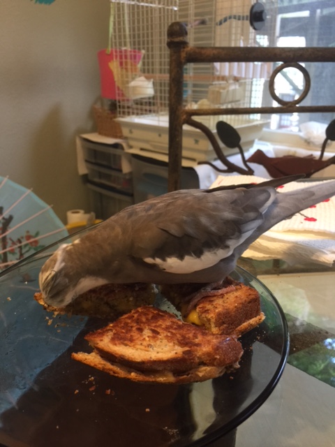 Time to break out the "master claiming tactics" - she got one but she's not getting the other three!