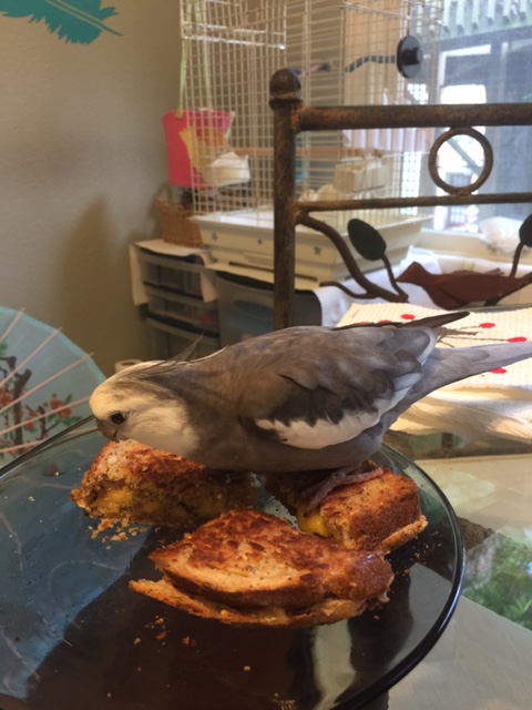 She doesn't look like she's coming back with that section.