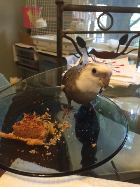 Hi Mom! Don't I look cute while eating my delicious dinner?!? 