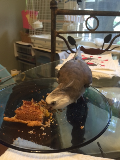 What's that you say? An approaching large featherless challenger?