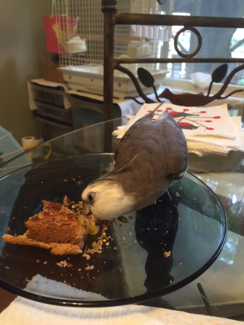 Mmmmmm...speaking of which, it is time for another infusion of super-spy nutrients.