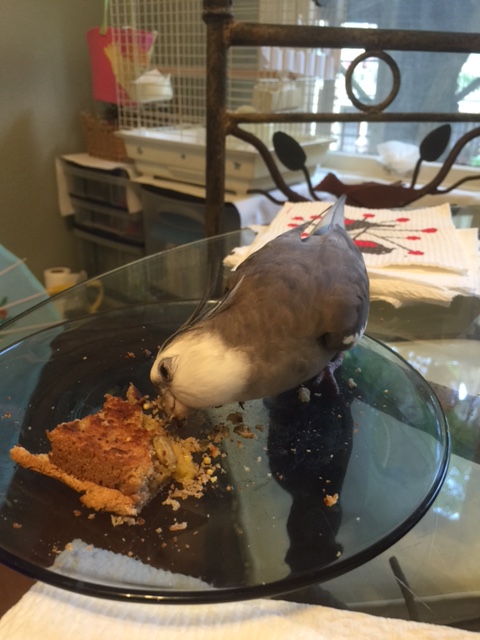 You are so delicious, so divine, so delectable, it is no wonder the challengers want you.