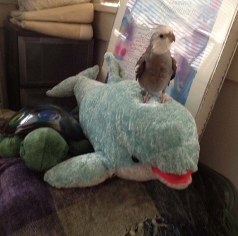 That's right, Mom, shoot it just like that. You got all three of us - perfect!