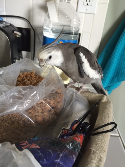 A photo of me sampling the prey? 