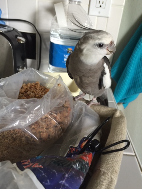 And portions are surprisingly light and "flingable" - bonus!