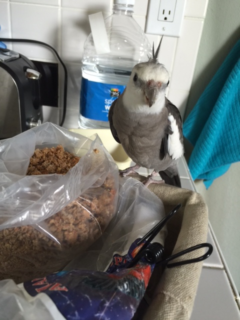 Wow, Mom - you were right - not bad!