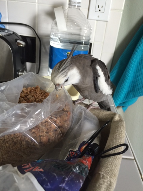 Why am I asking her? You're already here, I'll just have to sample you myself.