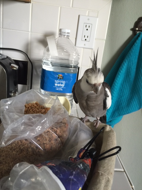 You're sure it's delicious?