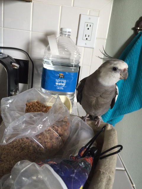 "Cereal?" Well that doesn't sound delectable.