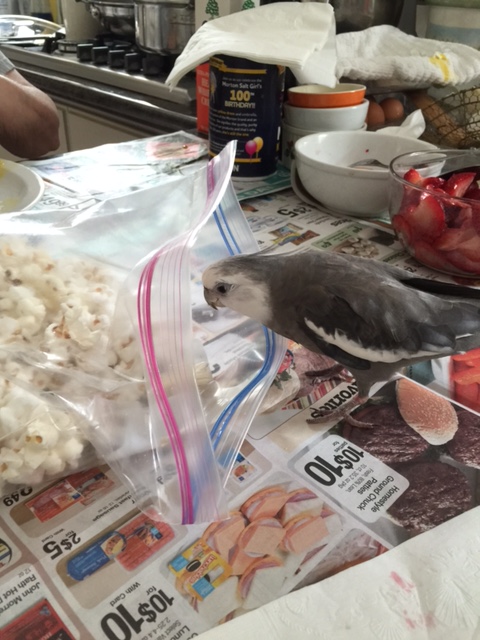 What's that? You would like to have an assistant?