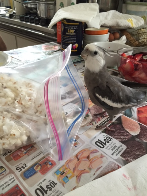 Mom, how well did you screen today's props?