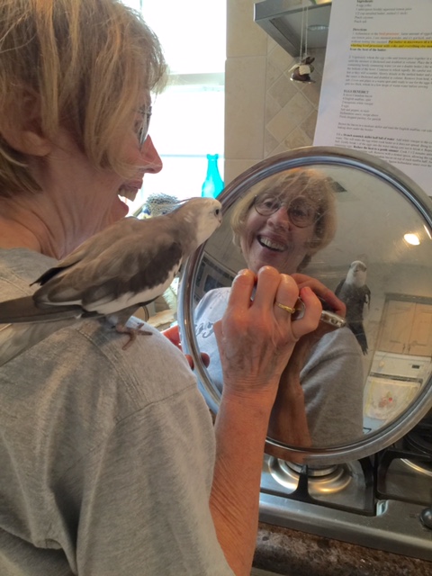 Note to self: Try to look less pretty when waffles are served. 