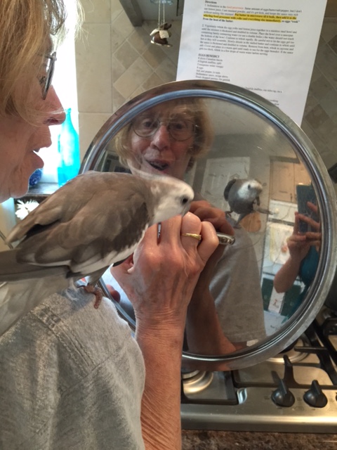 Oh! My! Who is THAT?!