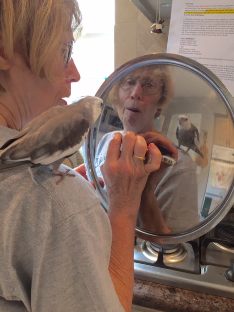 WOW. I sure am pretty, Grandma!