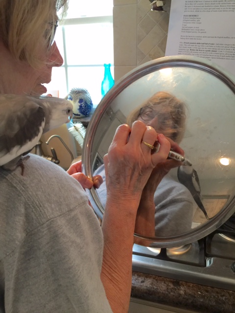 Let me just have another closer look.