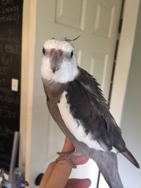 Okay, Mom, are you ready?