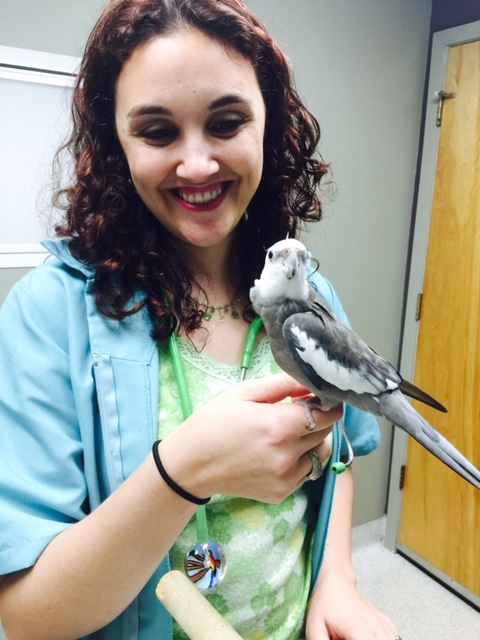 Can we just declare me the winner and move on to the victory waffle brunch?