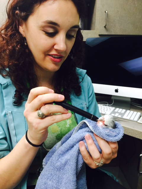 Sheesh. This is worse than being stalked by the paparazzi.