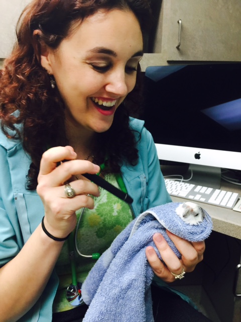 I KNEW there was something fishy about this "contest." Clearly I am really in a black-ops training site disguised as a "contest." Time to bring my A-game!