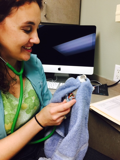 I'm such a black-ops pro I'll bet my blood pressure isn't even high from that training exercise!