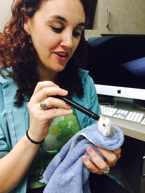 Prepare to encounter the "beak o' death!"